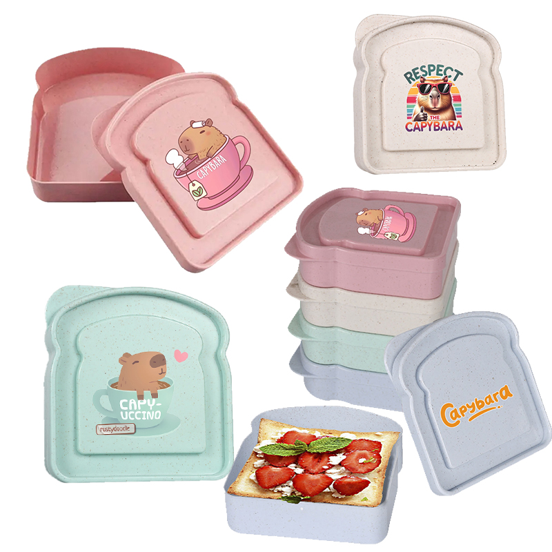 กล่องเก็บอาหารลายคาปิบารา สำหร - Food Storage With Dividers บทวิจารณ์และราคา
